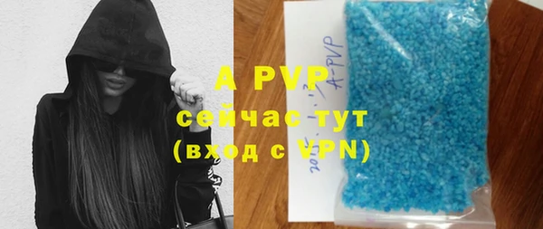 прущий лед Абаза