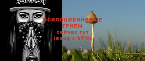 прущий лед Абаза