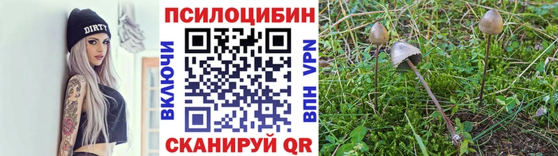 Псилоцибиновые грибы мухоморы  купить   blacksprut зеркало  Кандалакша 