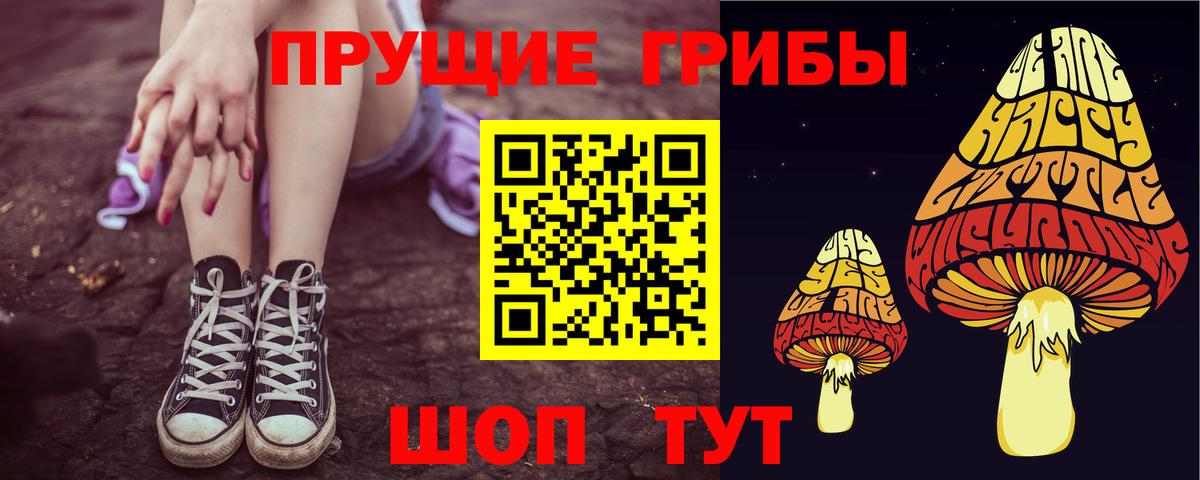 Кандалакша  Псилоцибиновые грибы прущие грибы  Вход с VPN 