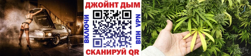 Канабис THC 21%  хочу   mega   darknet формула  Кандалакша 